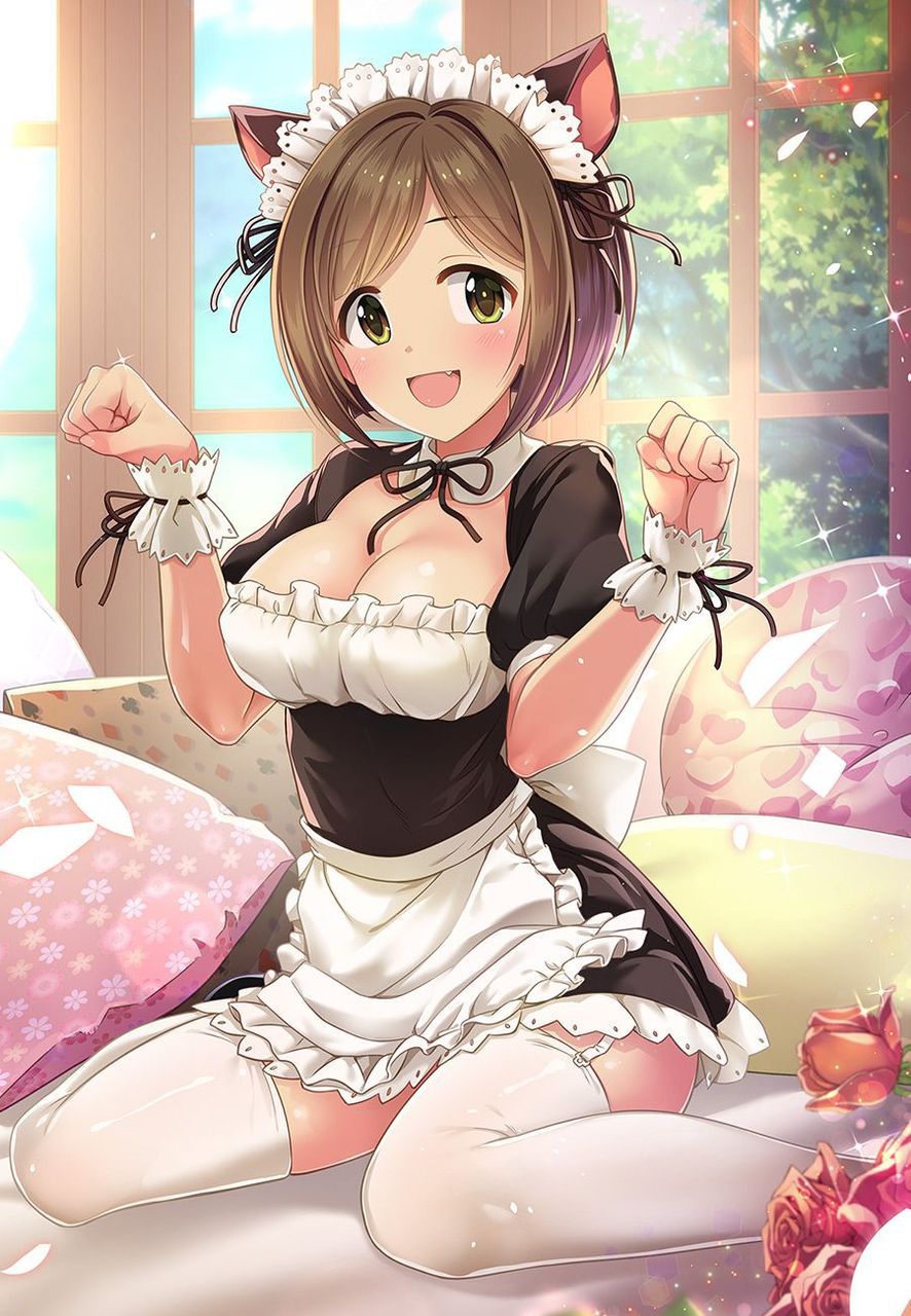 【Maid】Paste the image of the maid who wants you to serve Part 25 25