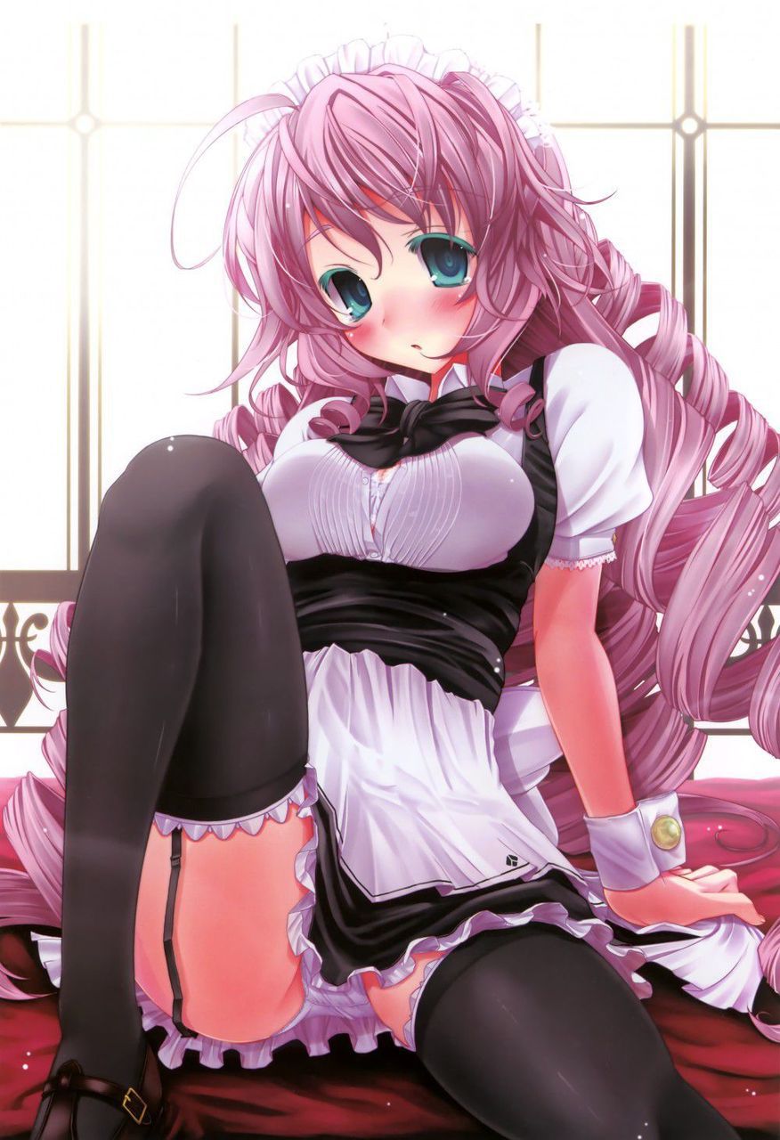 【Maid】Paste the image of the maid who wants you to serve Part 25 30