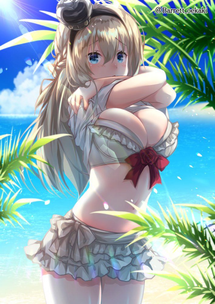 Erotic image of swimsuit please 1