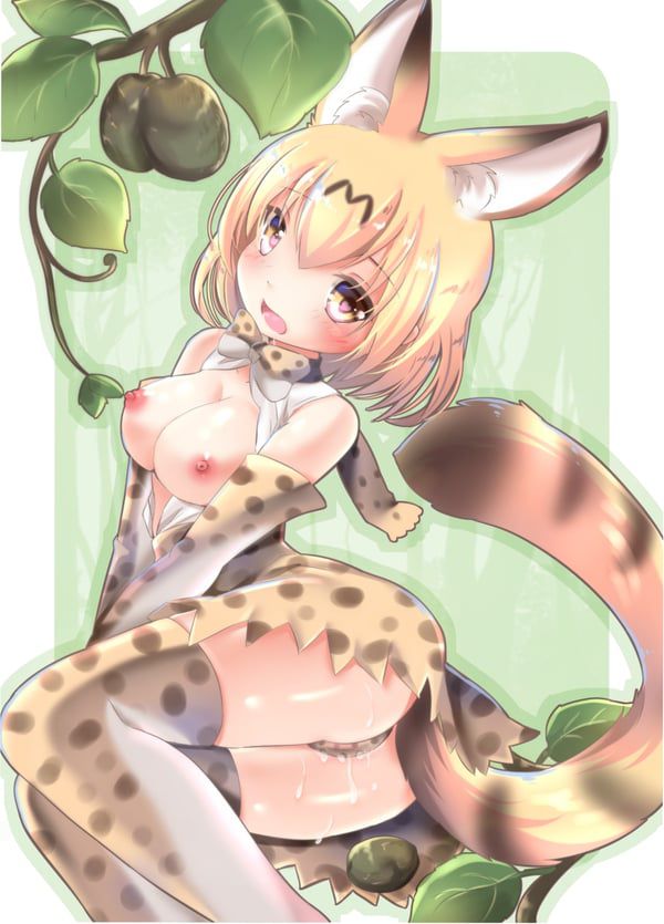 Erotic image of Kemono Friends [Serbal] 4