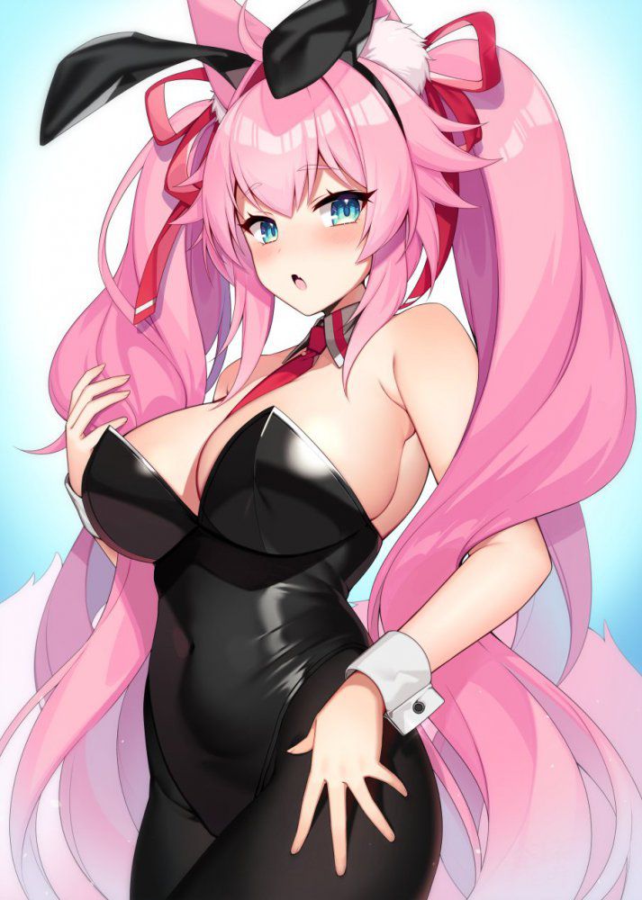 【Secondary】Bunny Girl Image Part 5 3