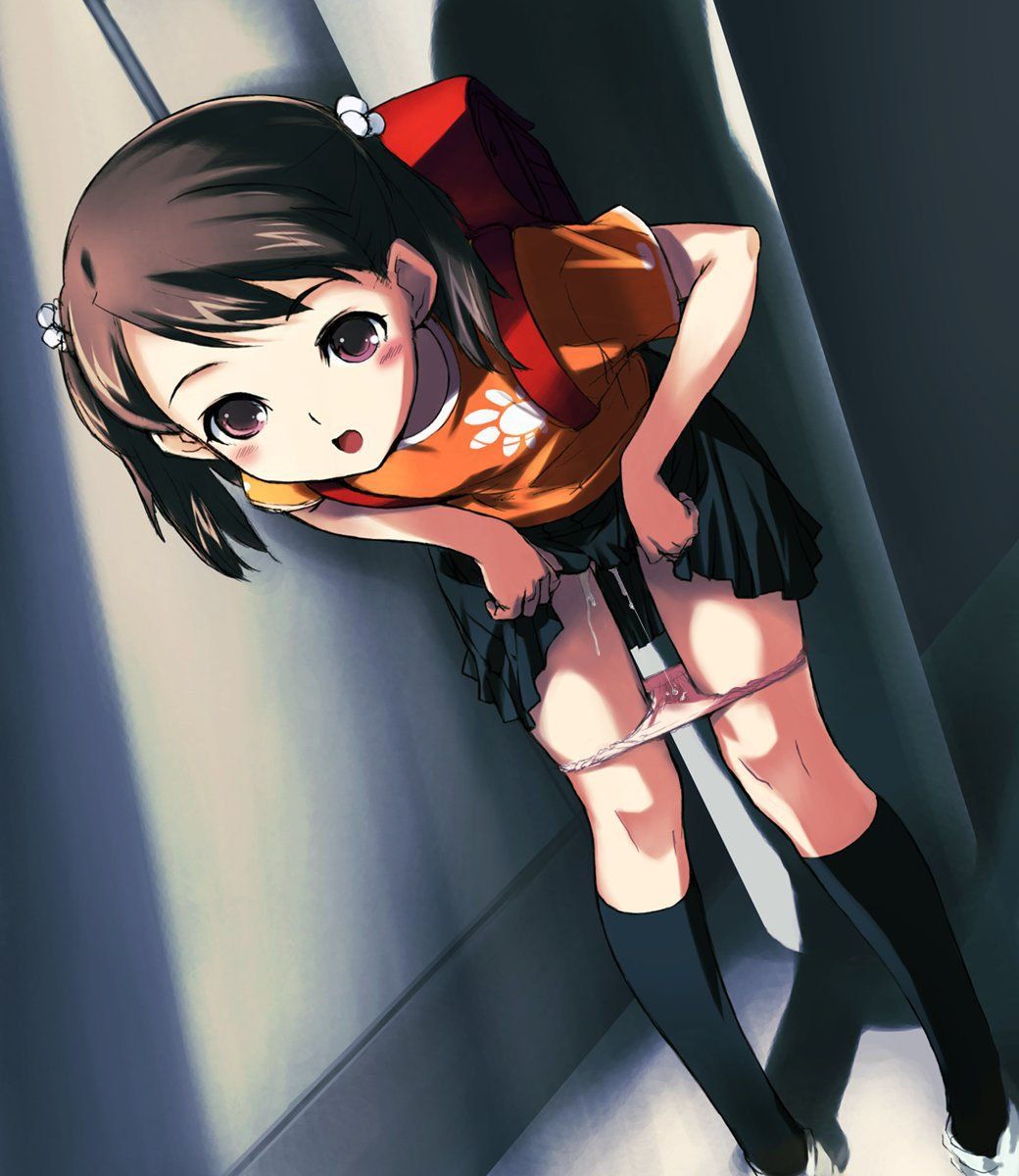 I introduce a two-dimensional erotic image of a poor loli girl to flow I am a lolicon mirror w 34