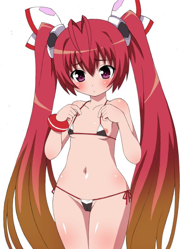I will release the erotic image folder of twin tails 14