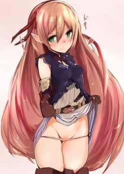 Gather guys who want to syco in the erotic image of shadowverse! 4