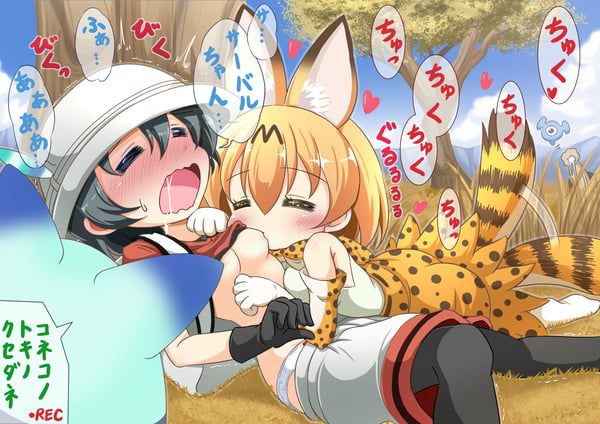 Erotic image of Kemono Friends [Bag] 1