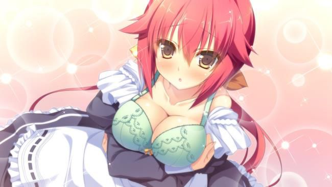 I'm going to paste the erotic cute image of the maid! 17