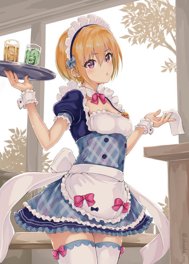 I'm going to paste the erotic cute image of the maid! 6