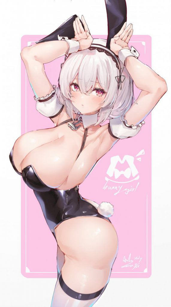 The image of Azur Lane that is too erotic is a foul! 15