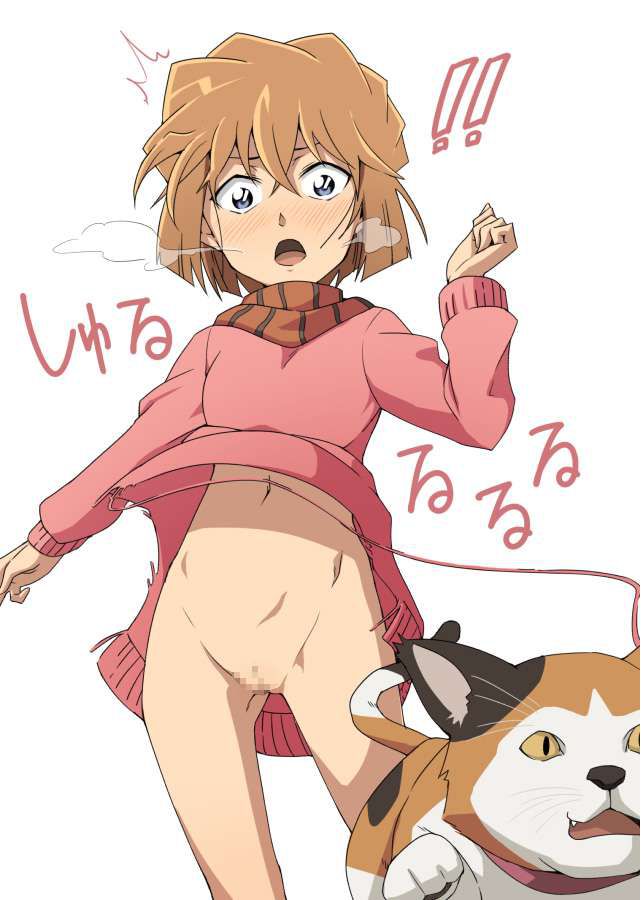 【Detective Conan】Erotic image of Ai Haibara 2