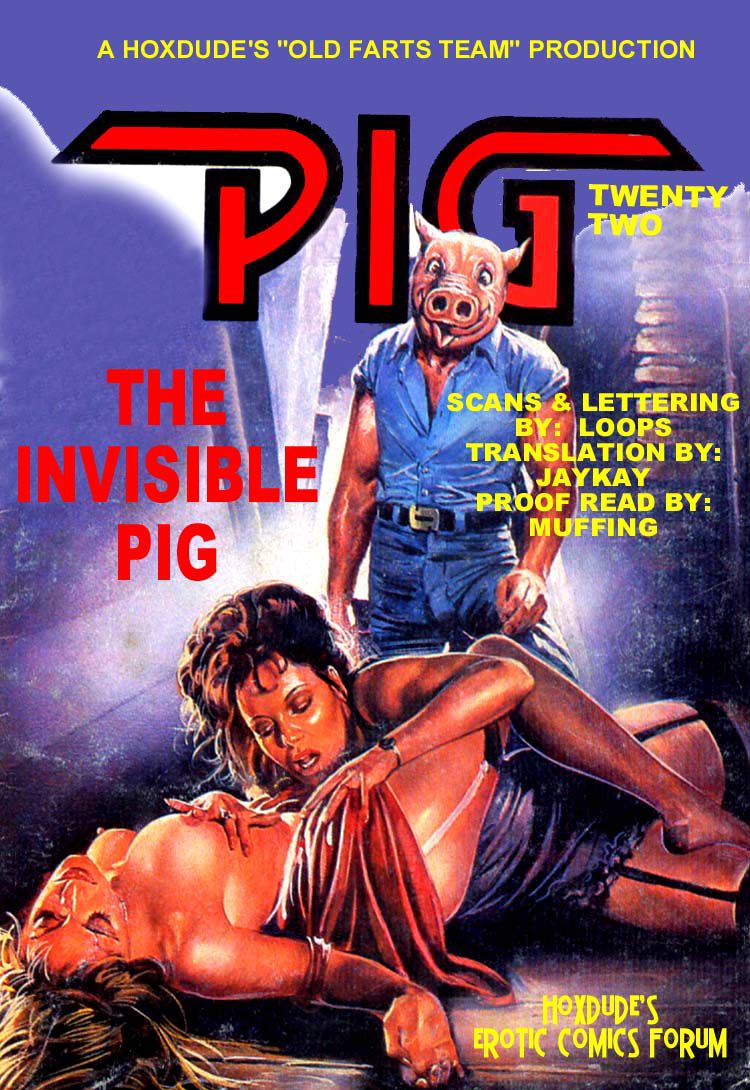 PIG #22  INVISABLE PIG - A JKSKINSFAN TRANSLATION 3
