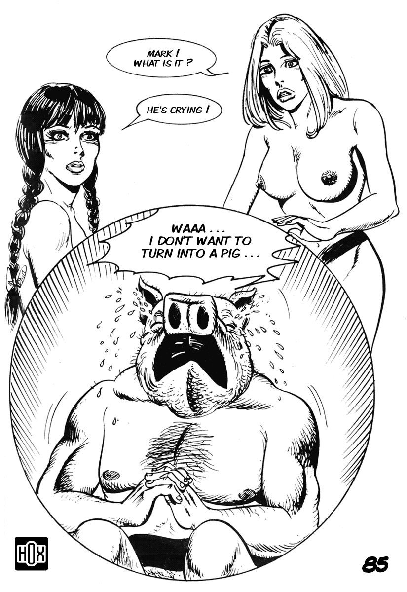 PIG #26  AN ERECTION FORMULA'S CURIOUS CONCENQUENCES - A JKSKINSFAN TRANSLATION 88