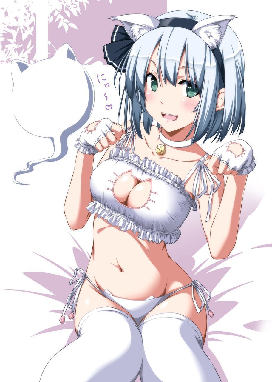 [Secondary] erotic image of the game underwear "cat lingerie" for a close girl who is more cute than Erokawa underwear 1