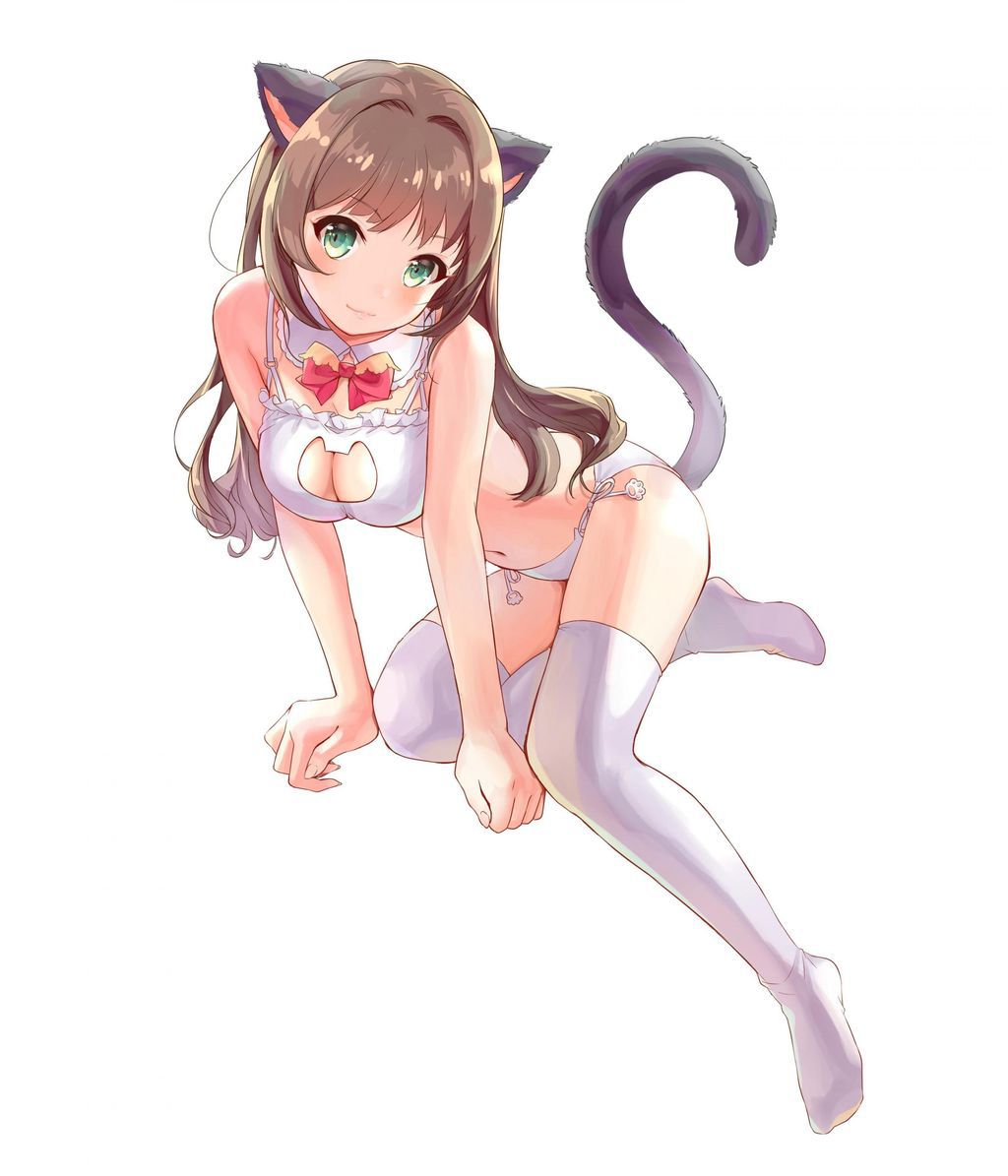 [Secondary] erotic image of the game underwear "cat lingerie" for a close girl who is more cute than Erokawa underwear 2