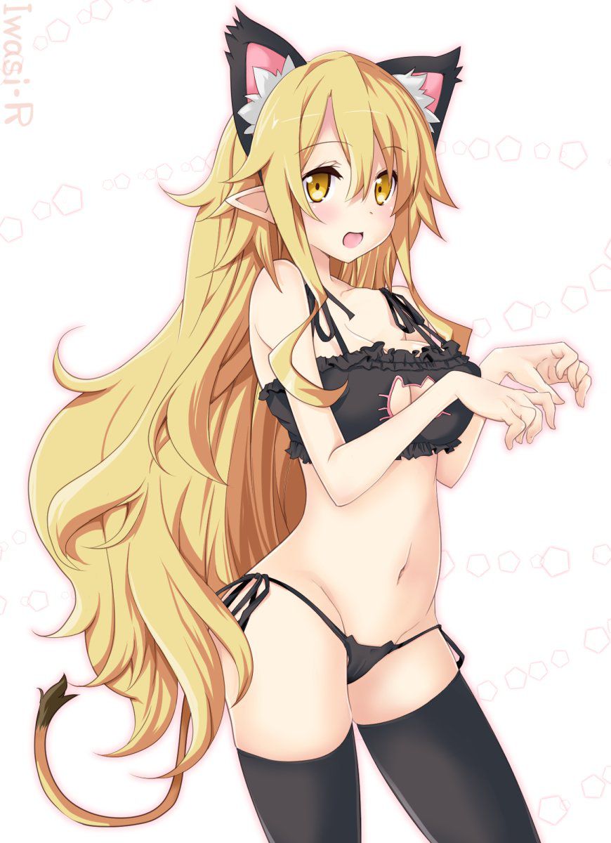 [Secondary] erotic image of the game underwear "cat lingerie" for a close girl who is more cute than Erokawa underwear 30