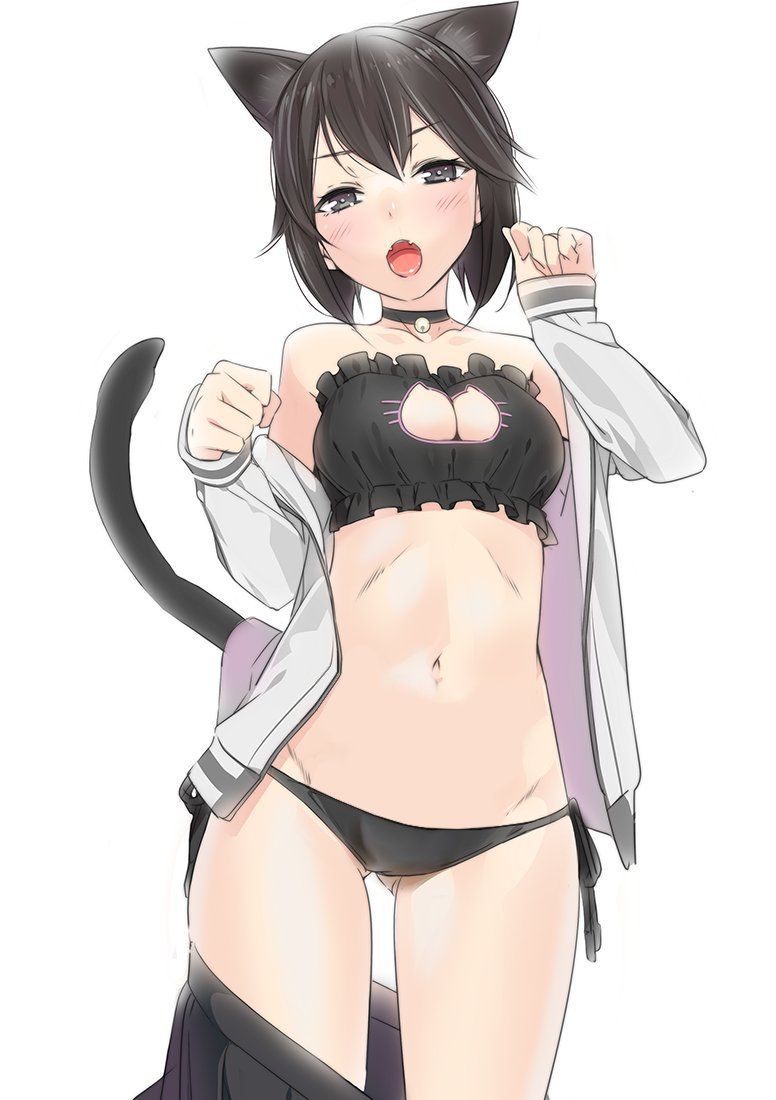 [Secondary] erotic image of the game underwear "cat lingerie" for a close girl who is more cute than Erokawa underwear 37