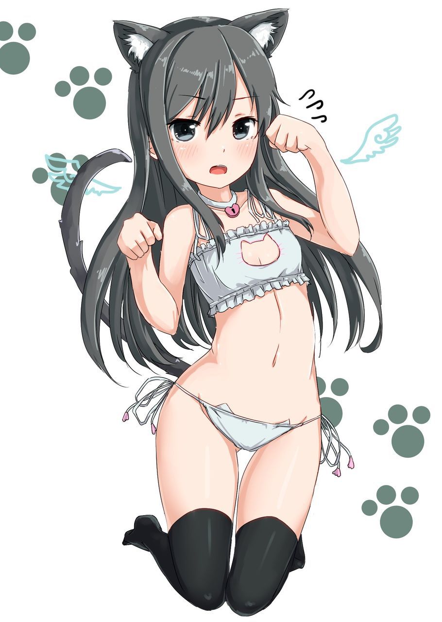 [Secondary] erotic image of the game underwear "cat lingerie" for a close girl who is more cute than Erokawa underwear 38