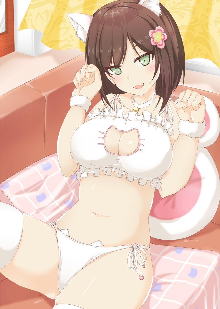 [Secondary] erotic image of the game underwear "cat lingerie" for a close girl who is more cute than Erokawa underwear 46