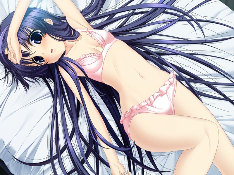 Two-dimensional erotic image that you can well see that only modest small loli are the supreme existence 14