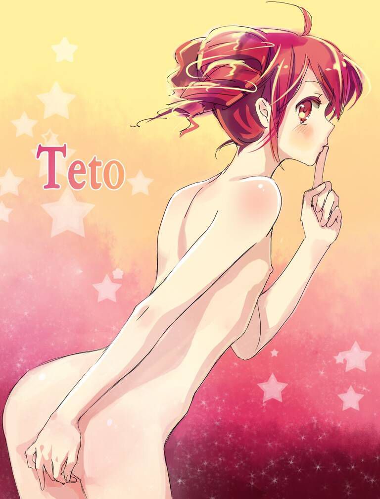 [Vocaloid] heavy tone Teto-chan's erotic image: illustrations 15