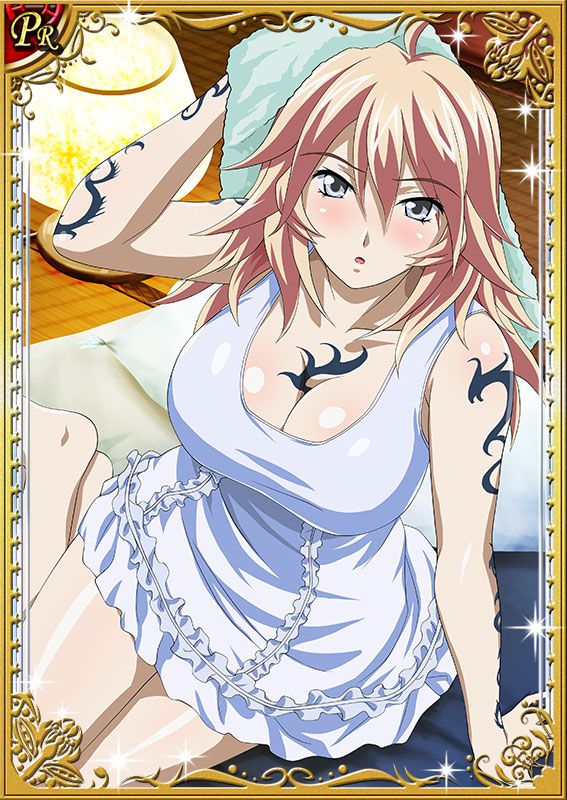 Ikkitousen Cards Coleccyion  Shiba'i Chuutatsu set 10