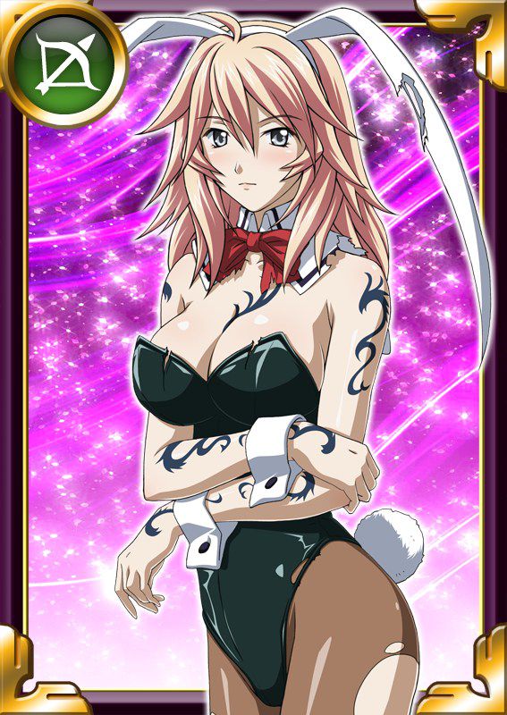 Ikkitousen Cards Coleccyion  Shiba'i Chuutatsu set 108