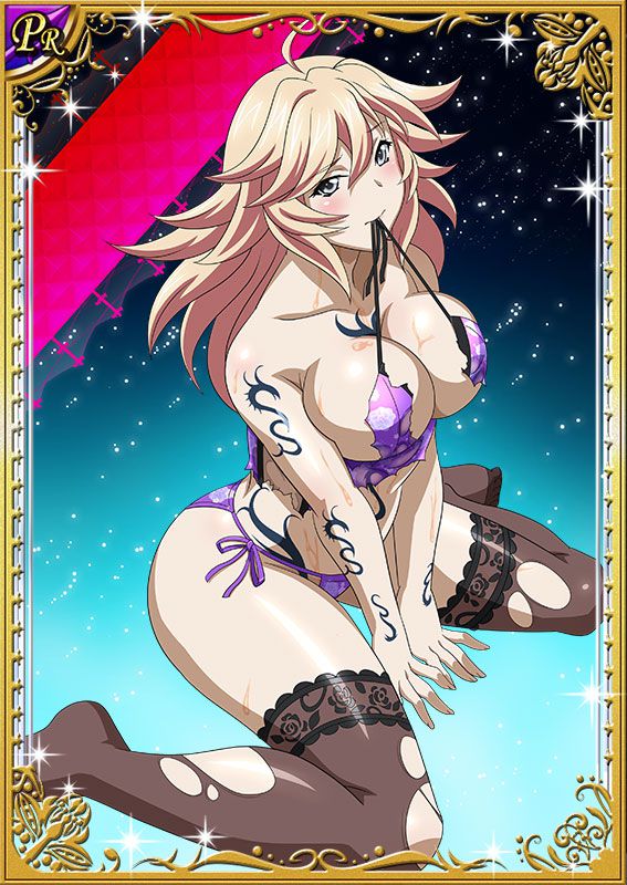 Ikkitousen Cards Coleccyion  Shiba'i Chuutatsu set 116