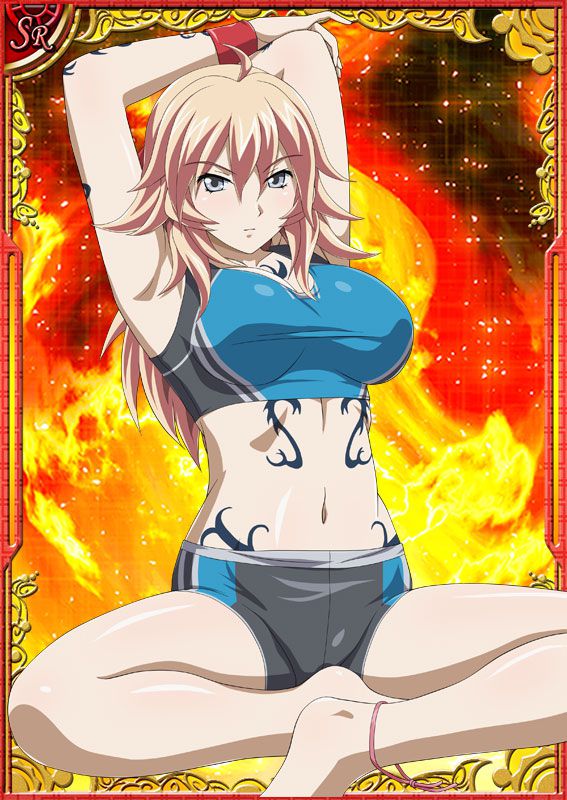 Ikkitousen Cards Coleccyion  Shiba'i Chuutatsu set 148