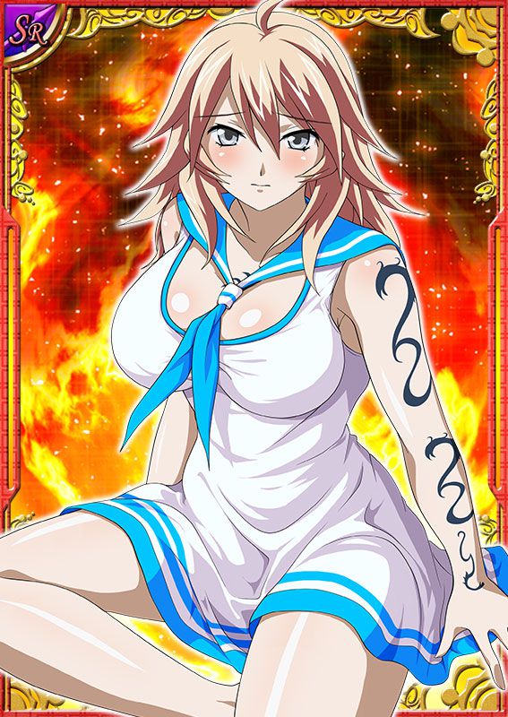 Ikkitousen Cards Coleccyion  Shiba'i Chuutatsu set 17