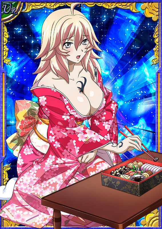 Ikkitousen Cards Coleccyion  Shiba'i Chuutatsu set 180