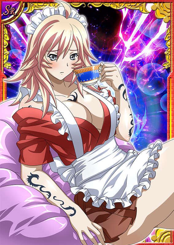 Ikkitousen Cards Coleccyion  Shiba'i Chuutatsu set 20