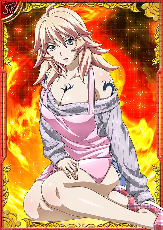 Ikkitousen Cards Coleccyion  Shiba'i Chuutatsu set 200