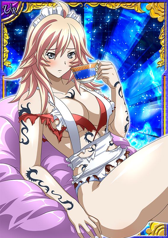 Ikkitousen Cards Coleccyion  Shiba'i Chuutatsu set 21