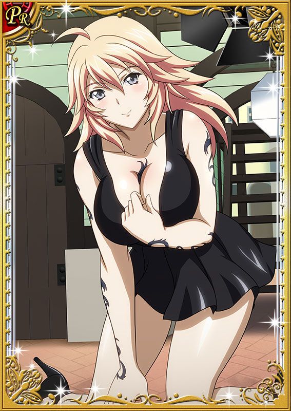 Ikkitousen Cards Coleccyion  Shiba'i Chuutatsu set 211