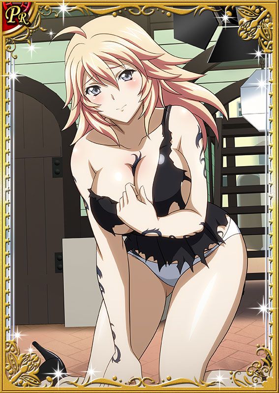 Ikkitousen Cards Coleccyion  Shiba'i Chuutatsu set 212