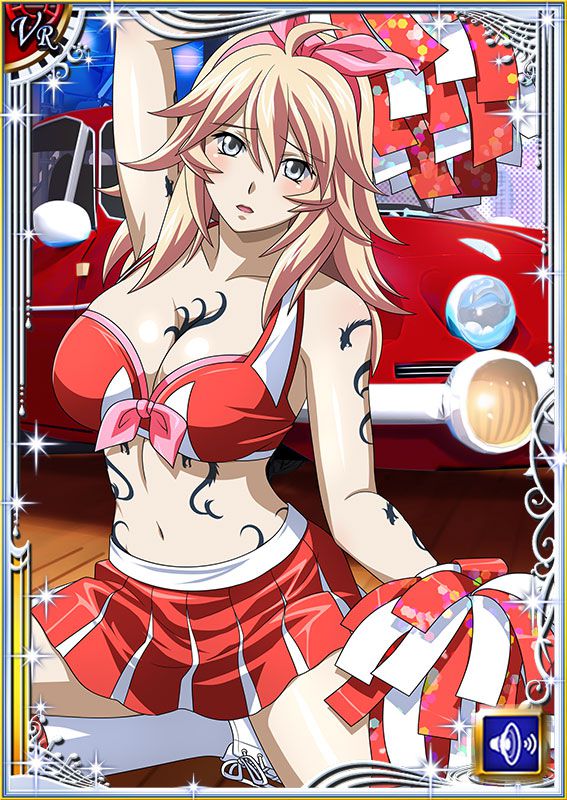 Ikkitousen Cards Coleccyion  Shiba'i Chuutatsu set 215