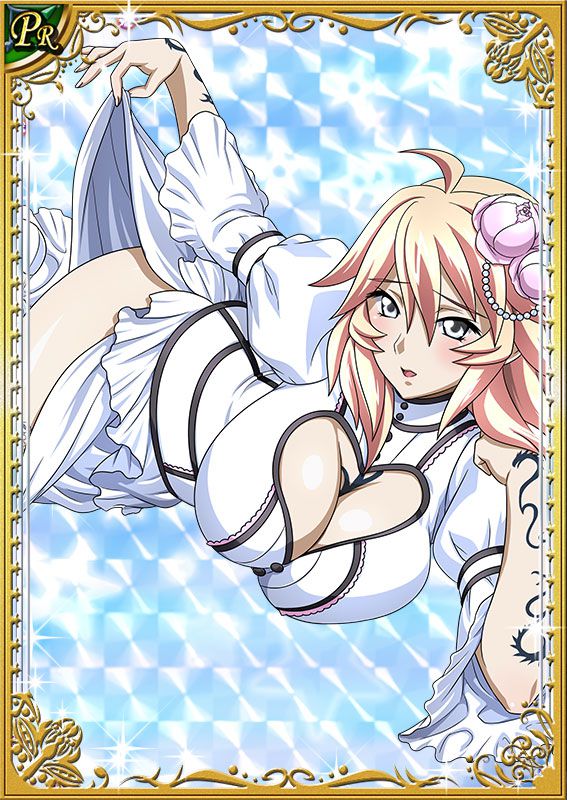 Ikkitousen Cards Coleccyion  Shiba'i Chuutatsu set 238