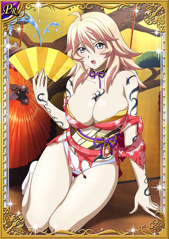 Ikkitousen Cards Coleccyion  Shiba'i Chuutatsu set 246