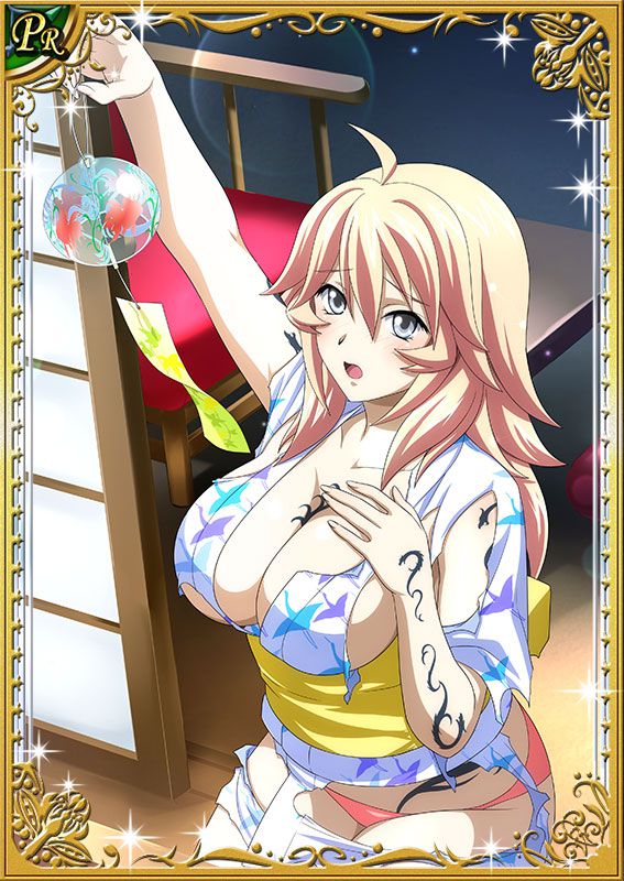 Ikkitousen Cards Coleccyion  Shiba'i Chuutatsu set 253