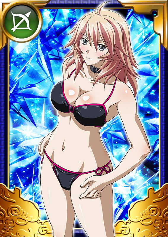 Ikkitousen Cards Coleccyion  Shiba'i Chuutatsu set 269