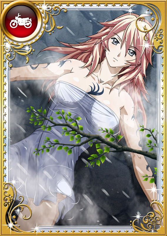 Ikkitousen Cards Coleccyion  Shiba'i Chuutatsu set 284