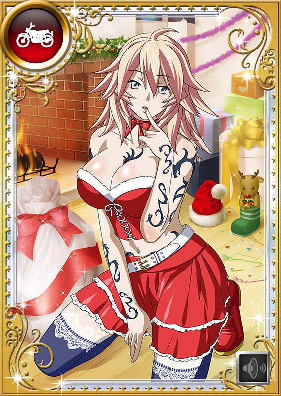 Ikkitousen Cards Coleccyion  Shiba'i Chuutatsu set 294