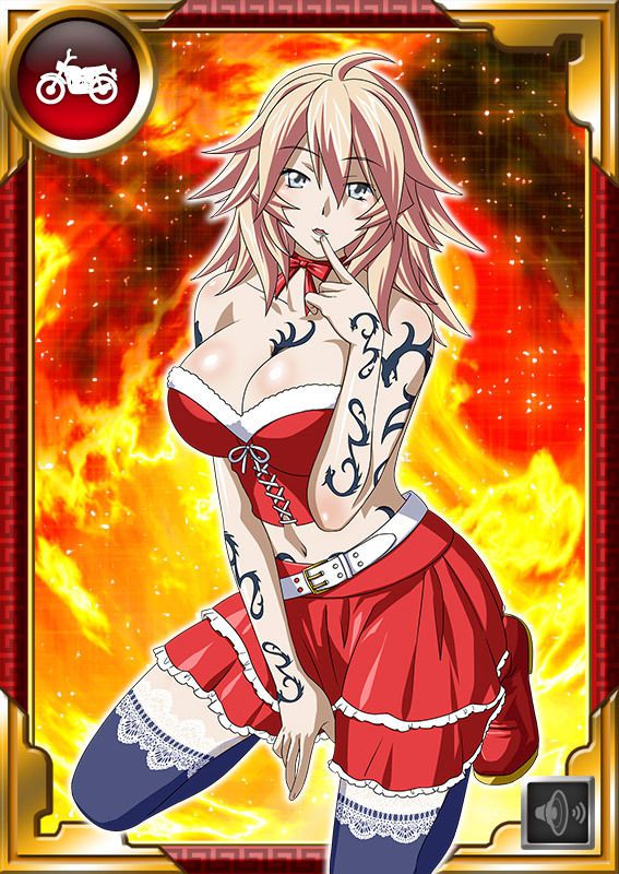 Ikkitousen Cards Coleccyion  Shiba'i Chuutatsu set 295