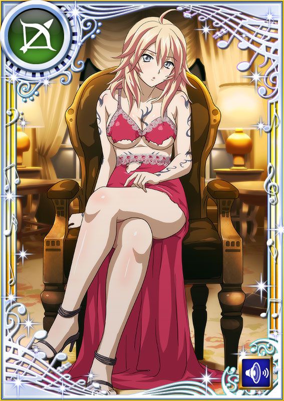 Ikkitousen Cards Coleccyion  Shiba'i Chuutatsu set 300