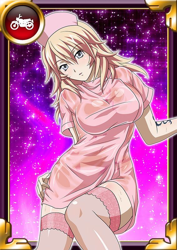 Ikkitousen Cards Coleccyion  Shiba'i Chuutatsu set 331