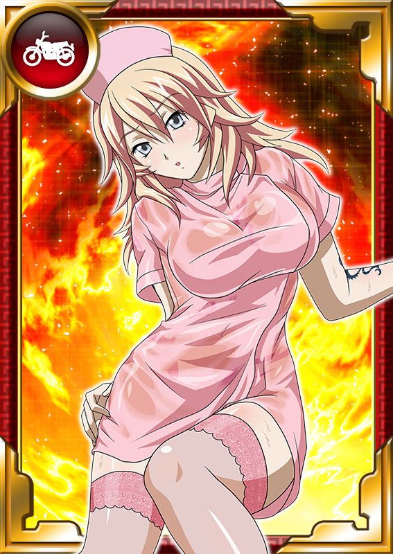 Ikkitousen Cards Coleccyion  Shiba'i Chuutatsu set 333