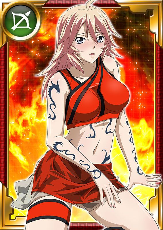 Ikkitousen Cards Coleccyion  Shiba'i Chuutatsu set 349