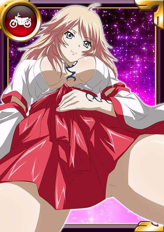 Ikkitousen Cards Coleccyion  Shiba'i Chuutatsu set 353