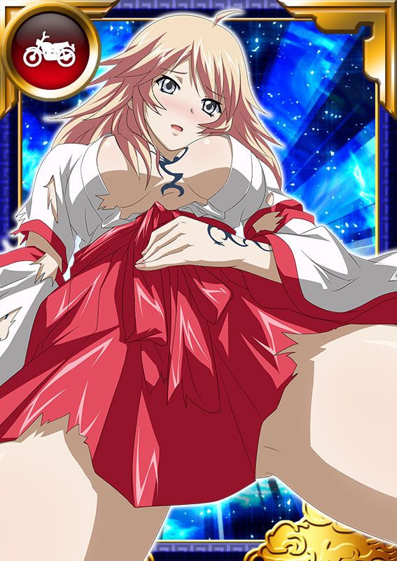 Ikkitousen Cards Coleccyion  Shiba'i Chuutatsu set 355