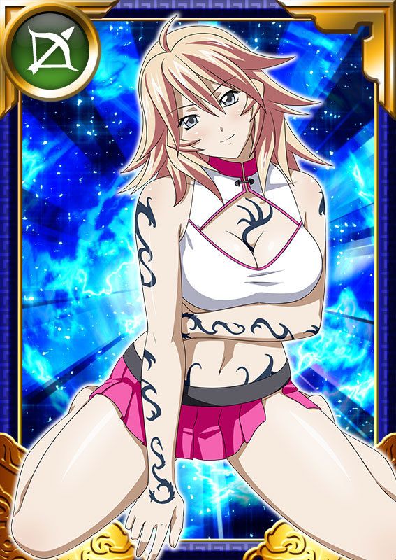 Ikkitousen Cards Coleccyion  Shiba'i Chuutatsu set 377