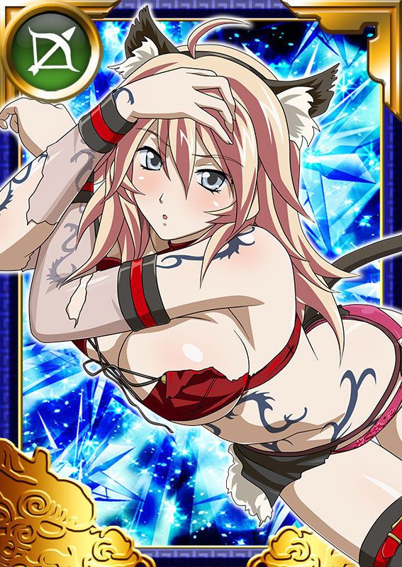 Ikkitousen Cards Coleccyion  Shiba'i Chuutatsu set 379